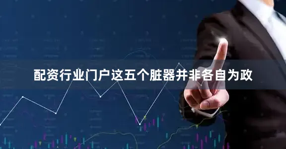 配资行业门户这五个脏器并非各自为政
