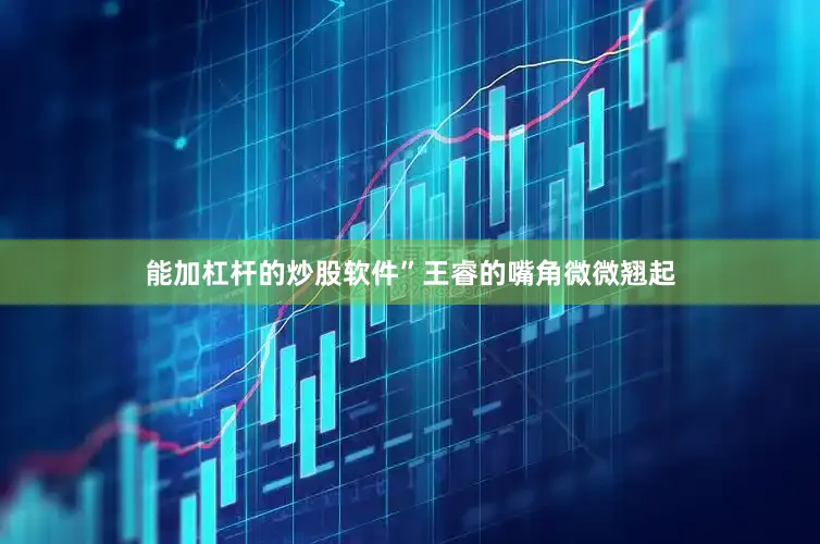 能加杠杆的炒股软件”王睿的嘴角微微翘起