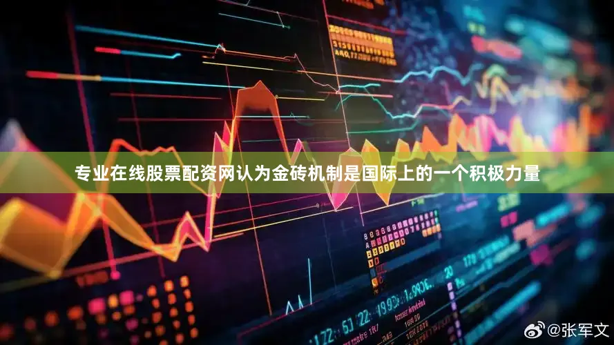 专业在线股票配资网认为金砖机制是国际上的一个积极力量