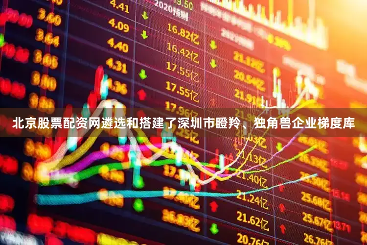 北京股票配资网遴选和搭建了深圳市瞪羚、独角兽企业梯度库