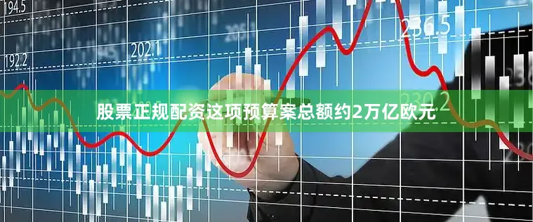 股票正规配资这项预算案总额约2万亿欧元