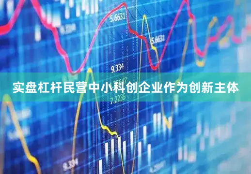 实盘杠杆民营中小科创企业作为创新主体