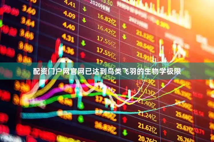 配资门户网官网已达到鸟类飞羽的生物学极限