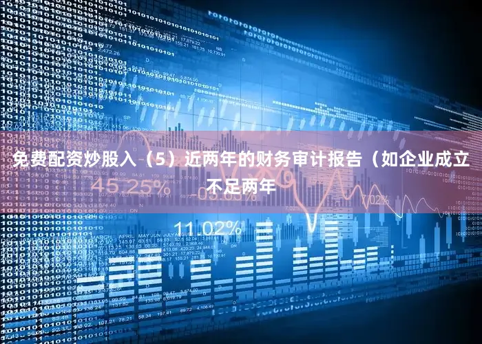 免费配资炒股入（5）近两年的财务审计报告（如企业成立不足两年