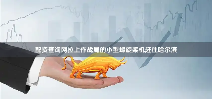 配资查询网拉上作战局的小型螺旋桨机赶往哈尔滨